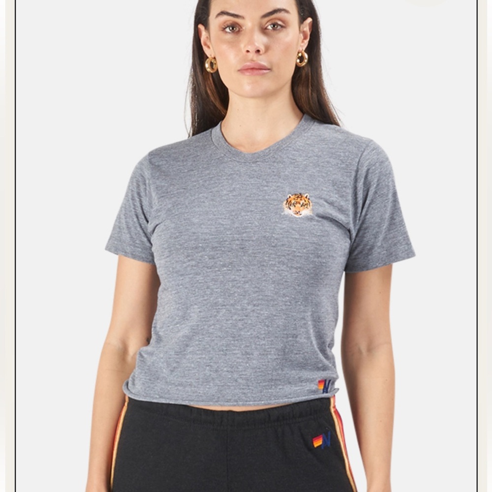 Aviator Nation Tiger Embroidery Boyfriend Tee Size Small